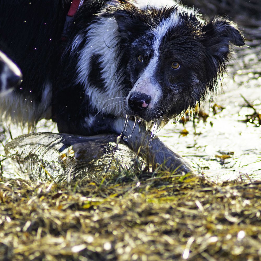 Photograph by Rudi Uran