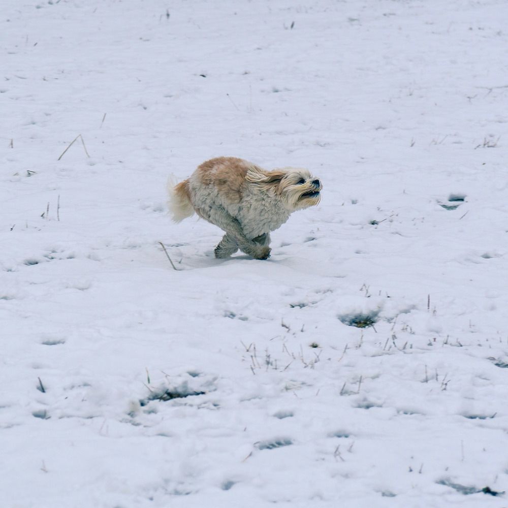 Photograph by Rudi Uran