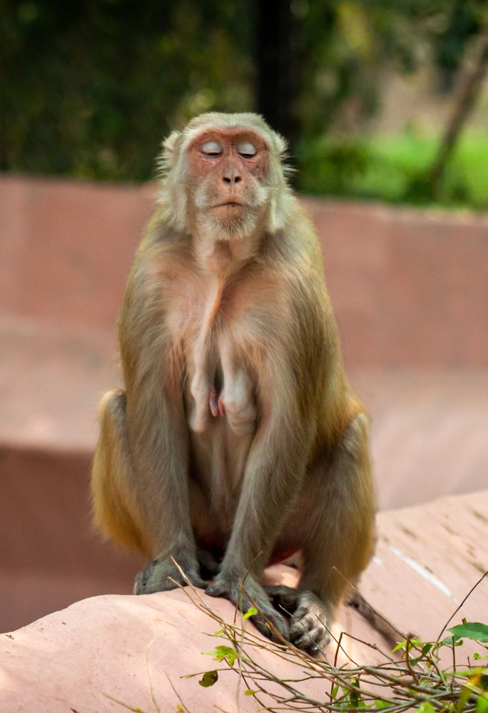 Photograph by Диана Бородзе