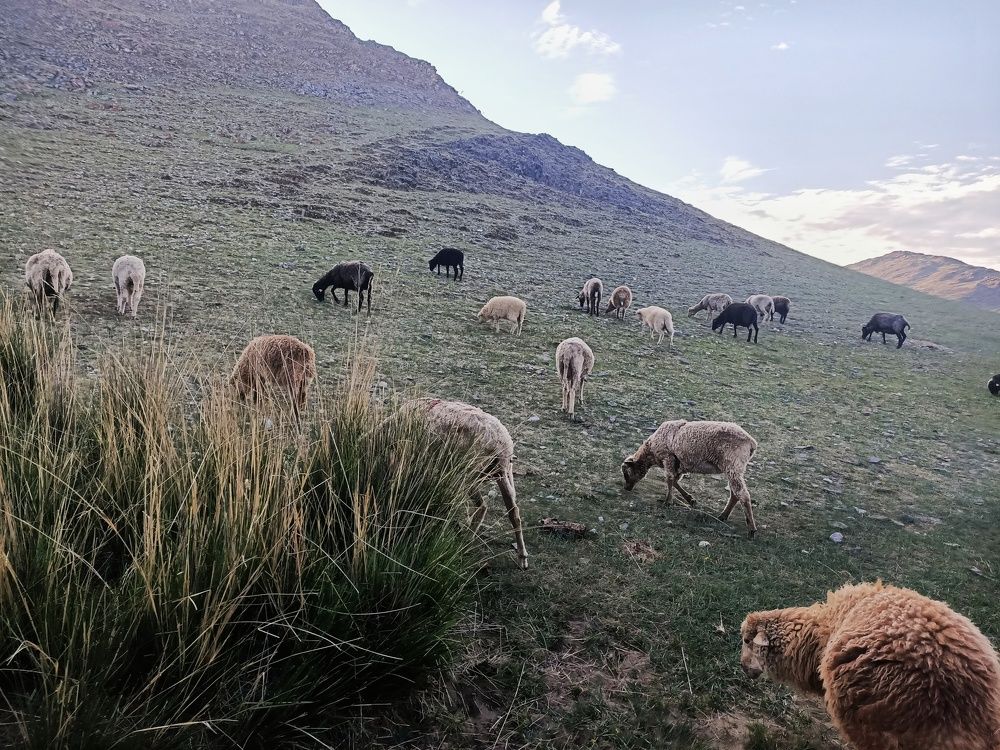 Фотография автора Екатерина Ковтун