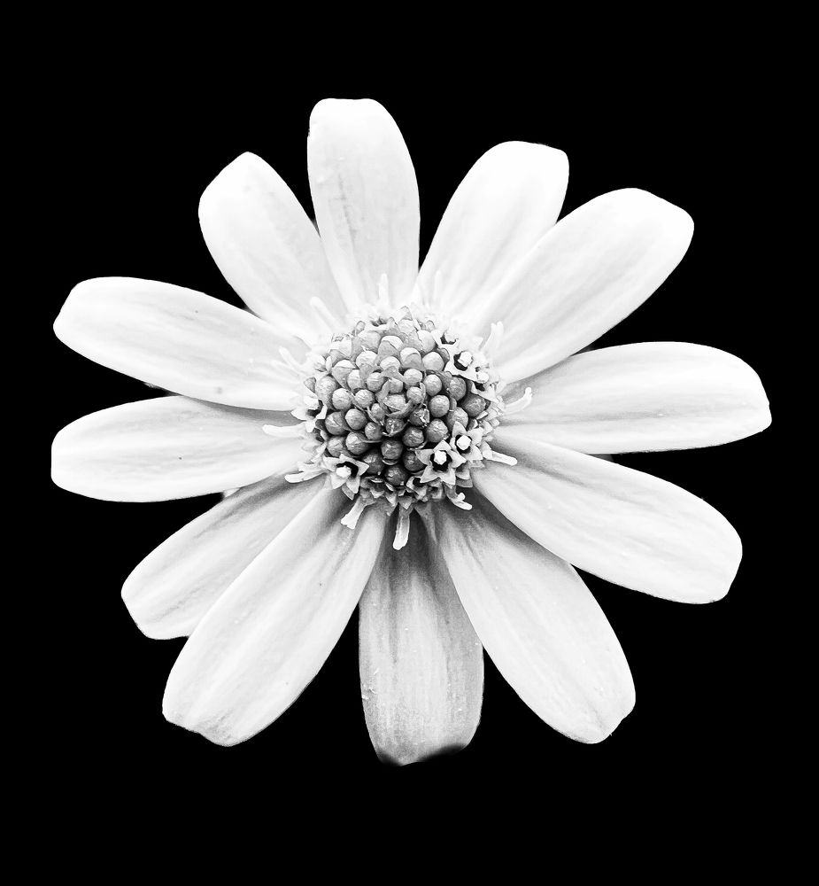 Photograph by Oline Fiva Aukrust