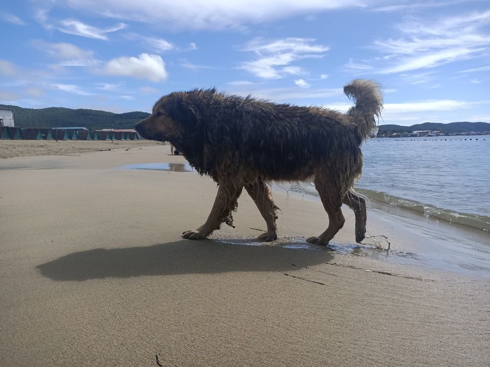 Фотография автора Екатерина Ковтун