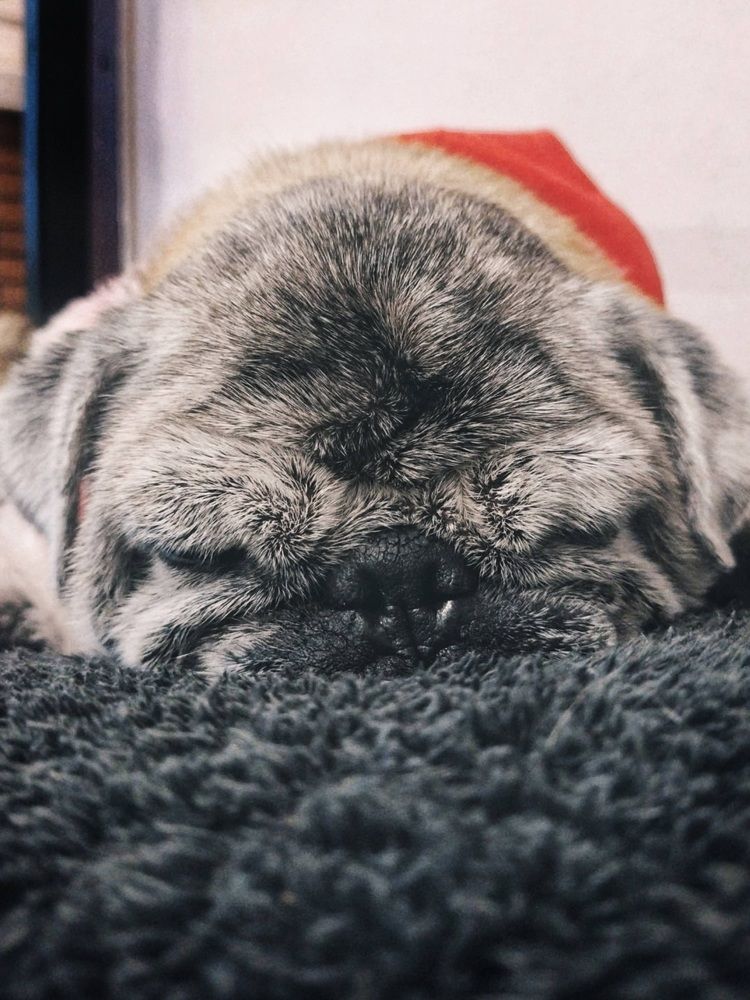 Фотография автора Julie Mishka