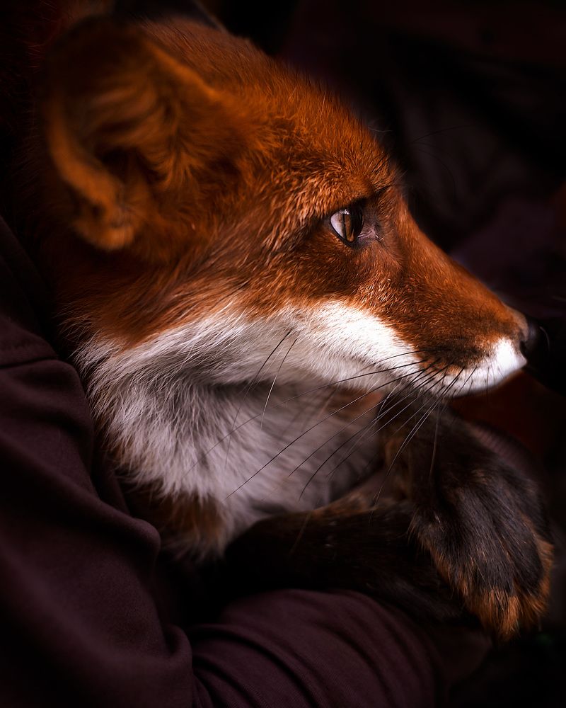 Photograph by Aljona Dyachenko