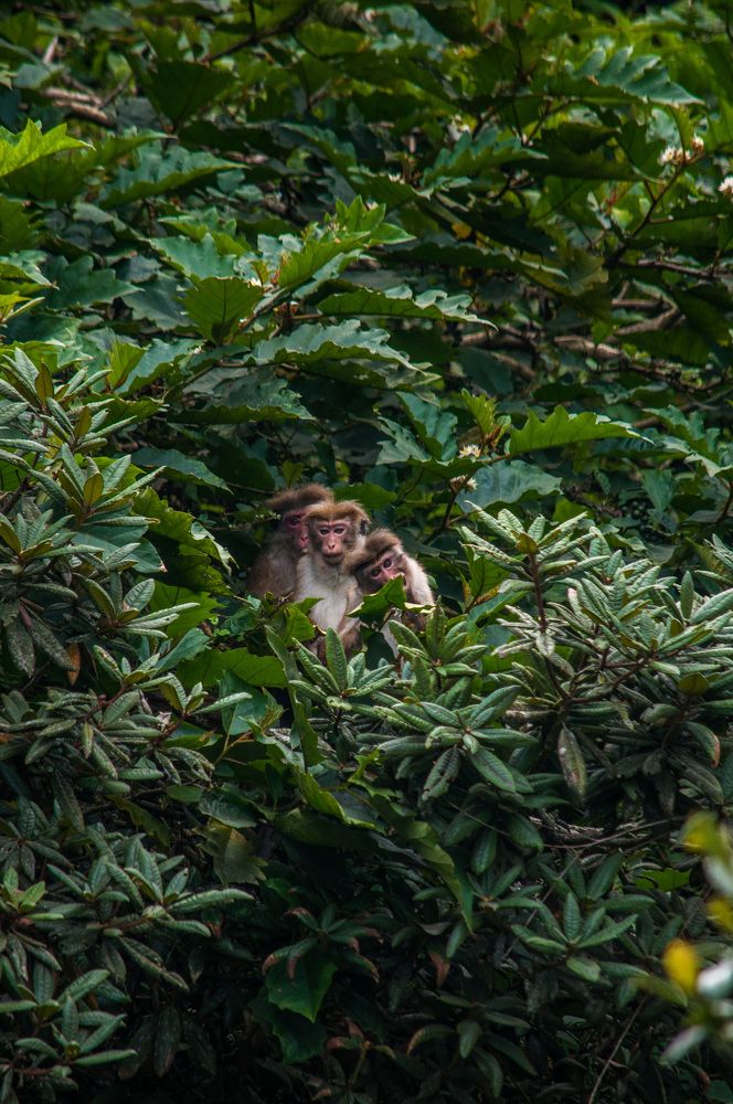 Photograph by Chamara Sulakkhana Polwatta Siriyalage