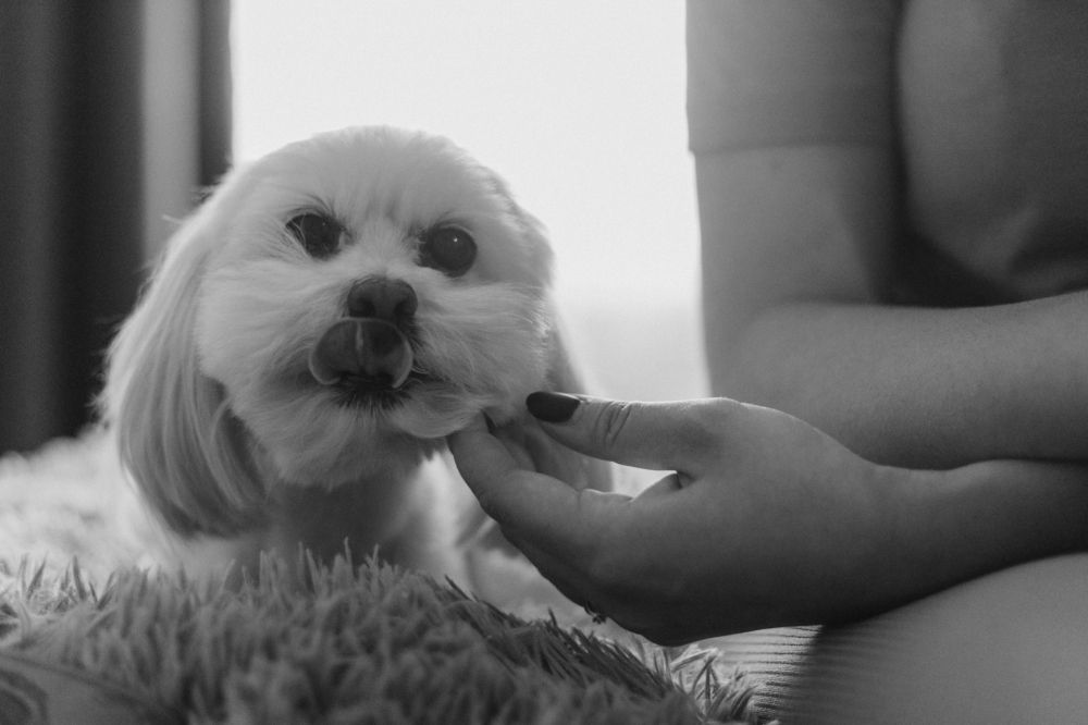 Photograph by Юлия Муртузова