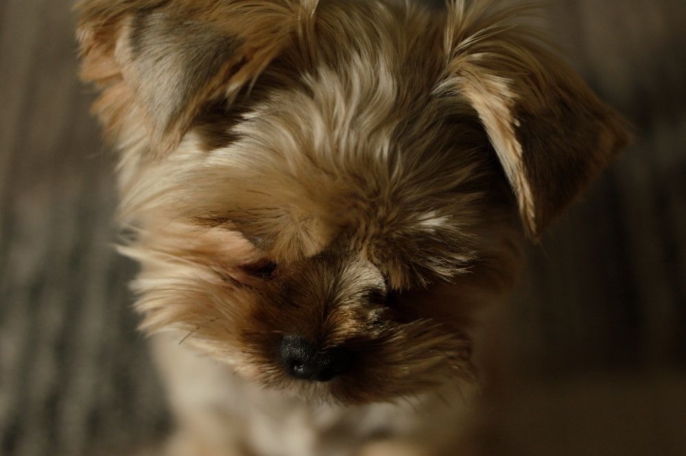 Photograph by Юлия Муртузова