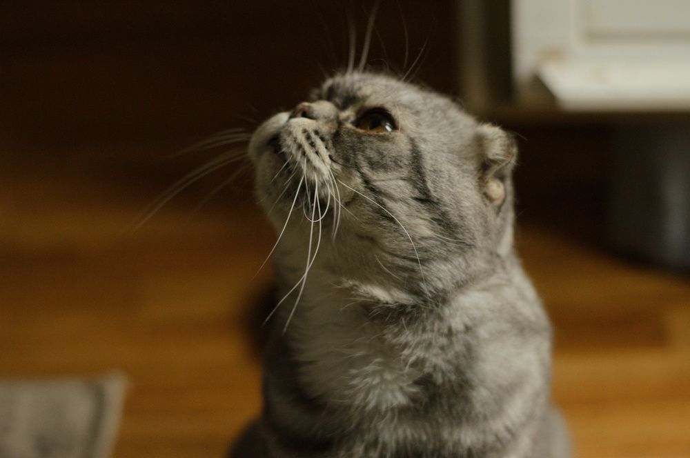 Photograph by Юлия Муртузова