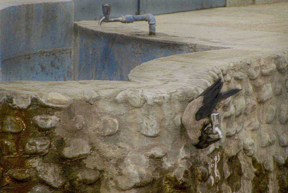 Photograph by Mahdi vagahri shorche