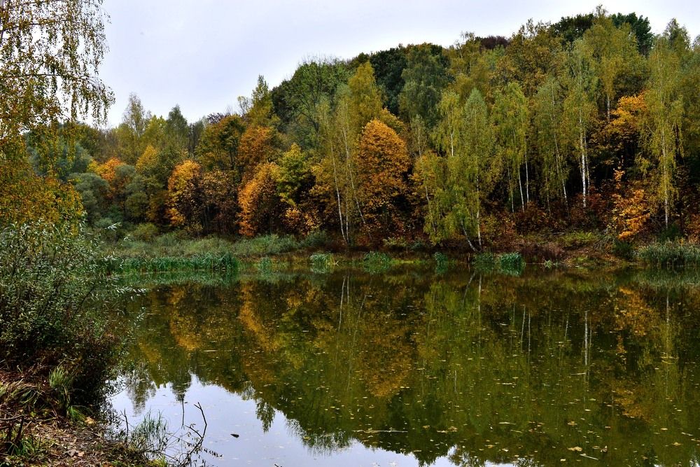 Photograph by Ronix955