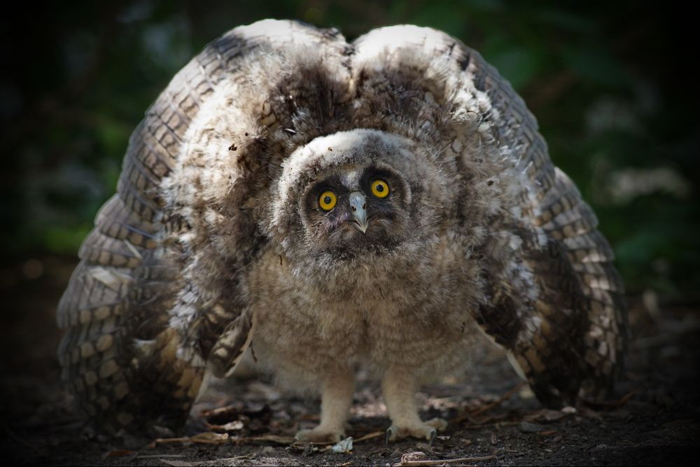 Photograph by Арсен Алабердов