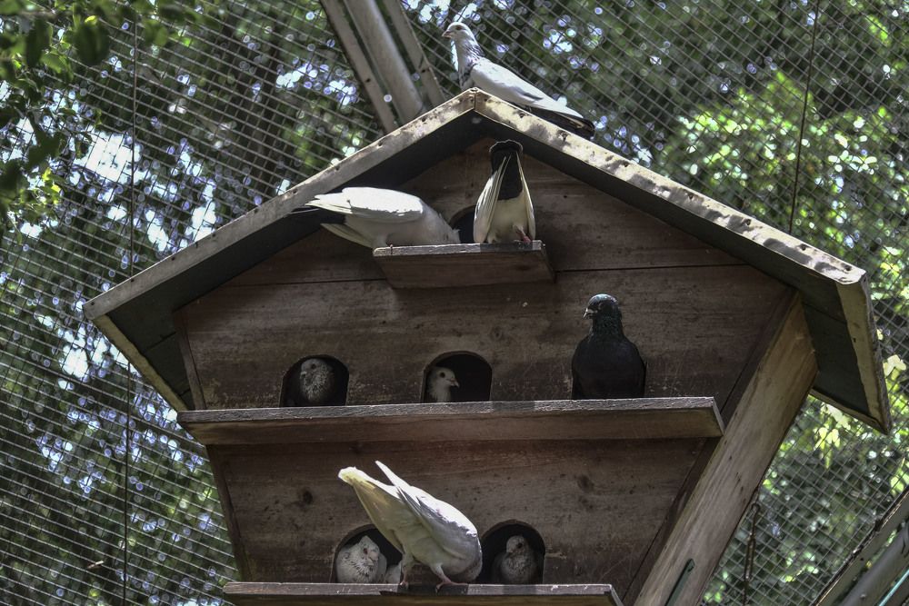 Photograph by Pujo Cahyono