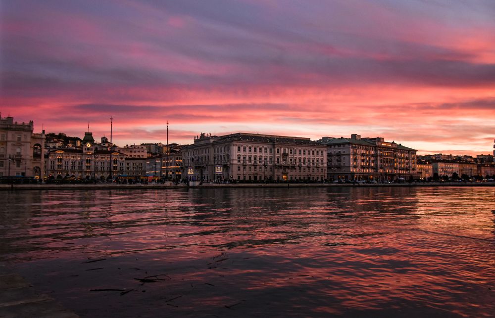 Photograph by Teresa Molinaro