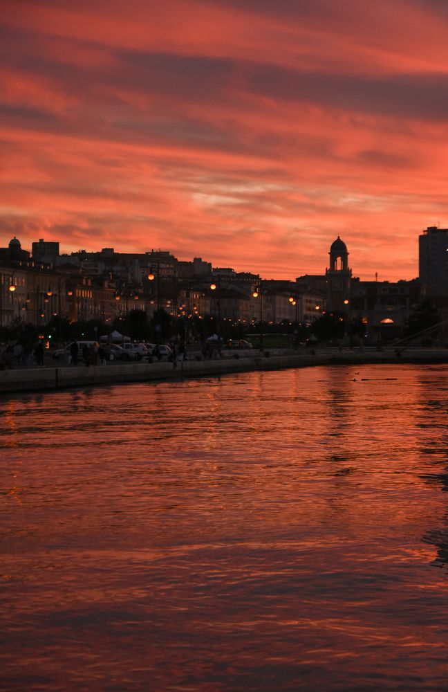 Photograph by Teresa Molinaro