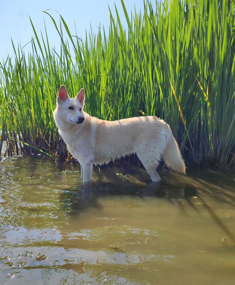 Photograph by Алеся Маклакова