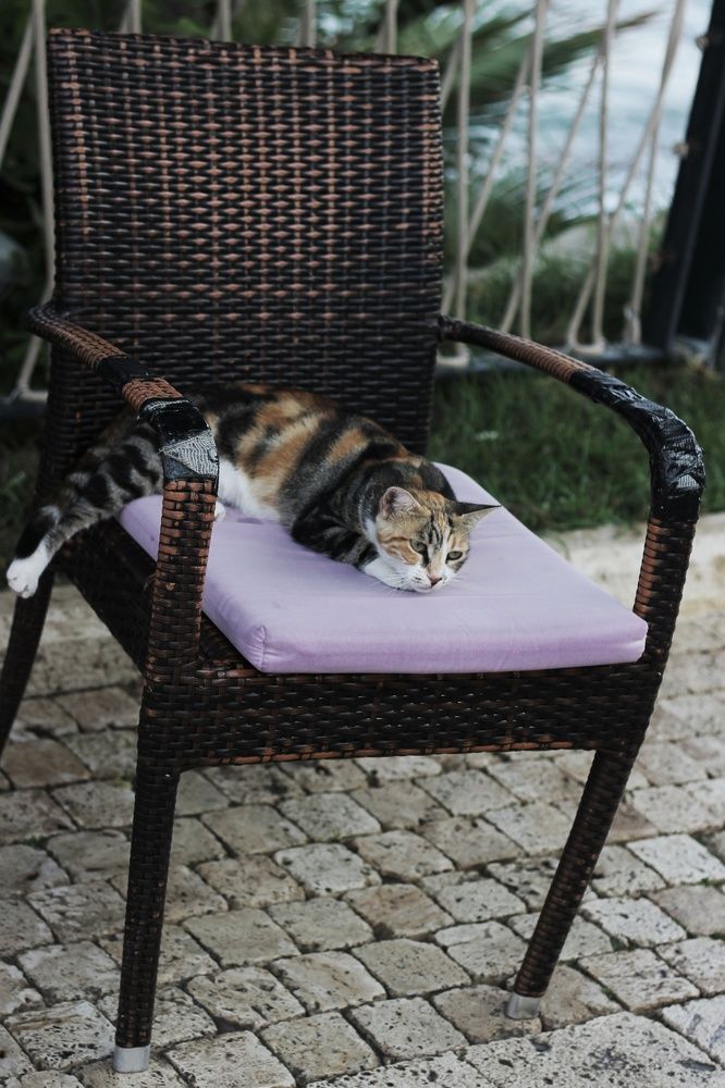 Photograph by Алеся Маклакова