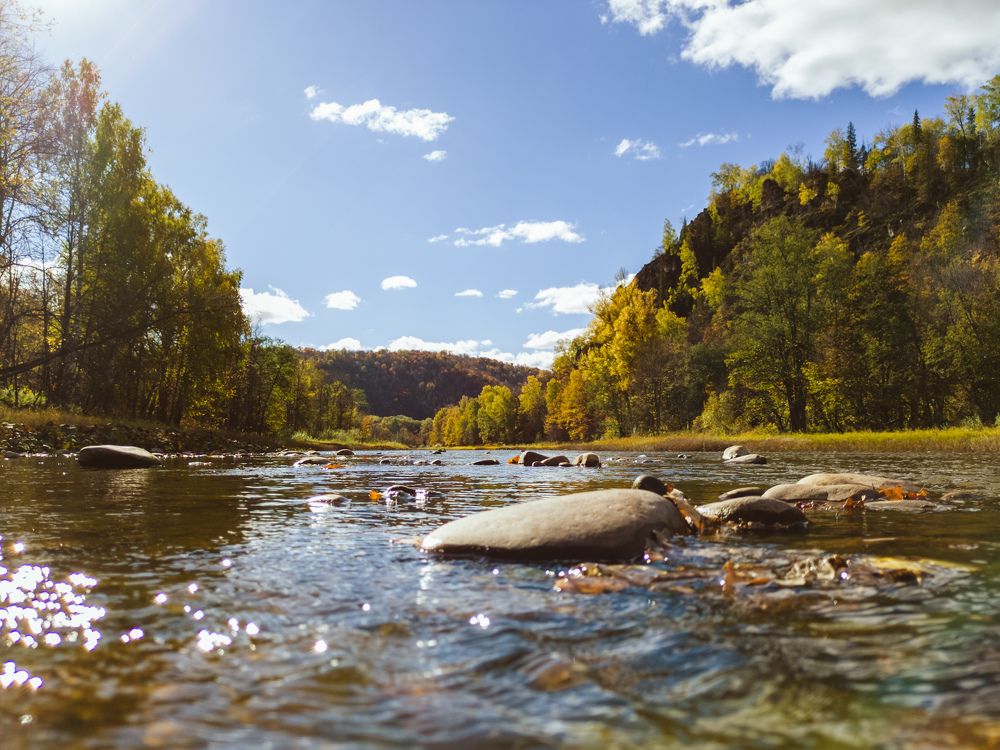 Photograph by Наталья