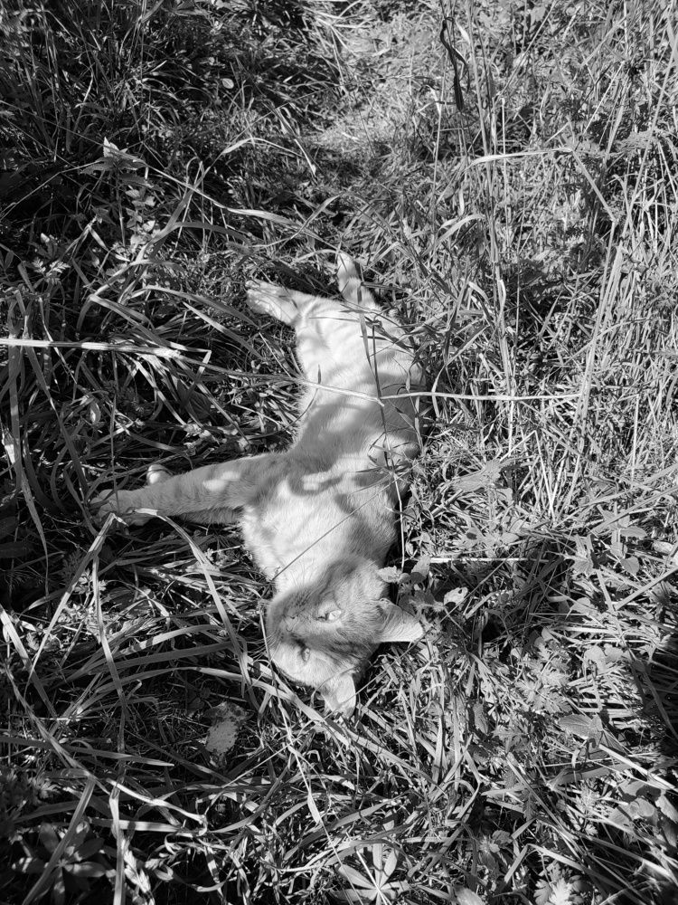 Photograph by Алеся Маклакова