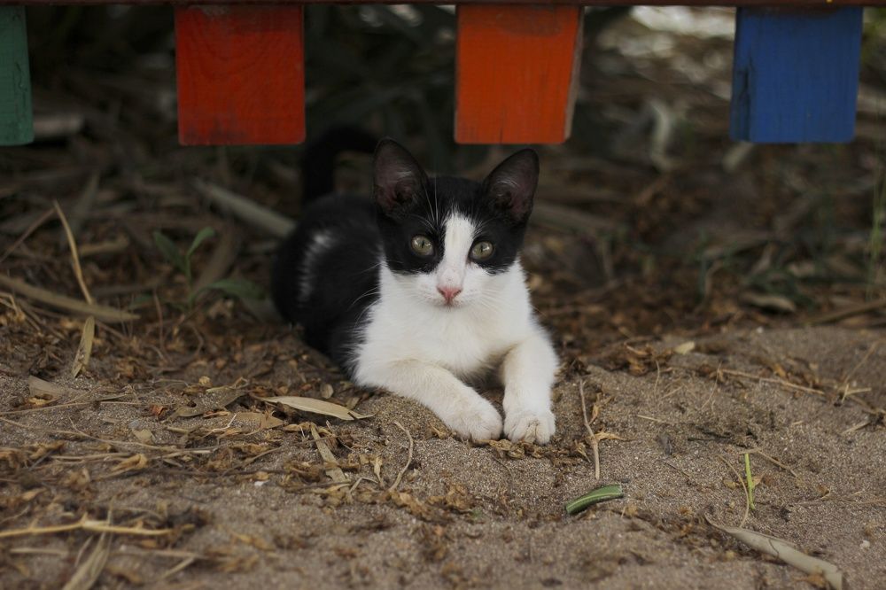 Photograph by Алеся Маклакова