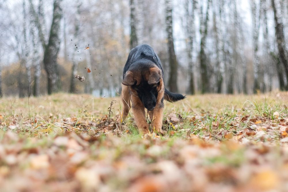 Photograph by Любовь Головина