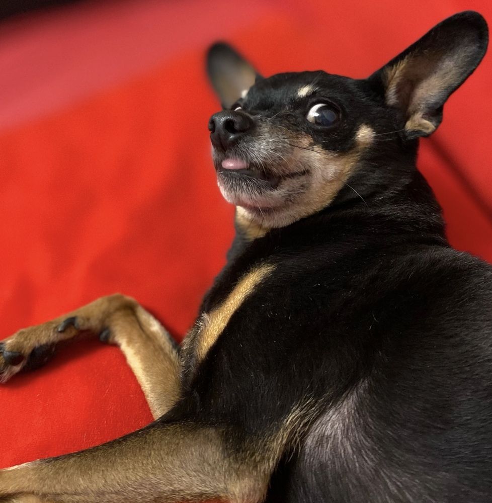 Photograph by Наталья Ситова