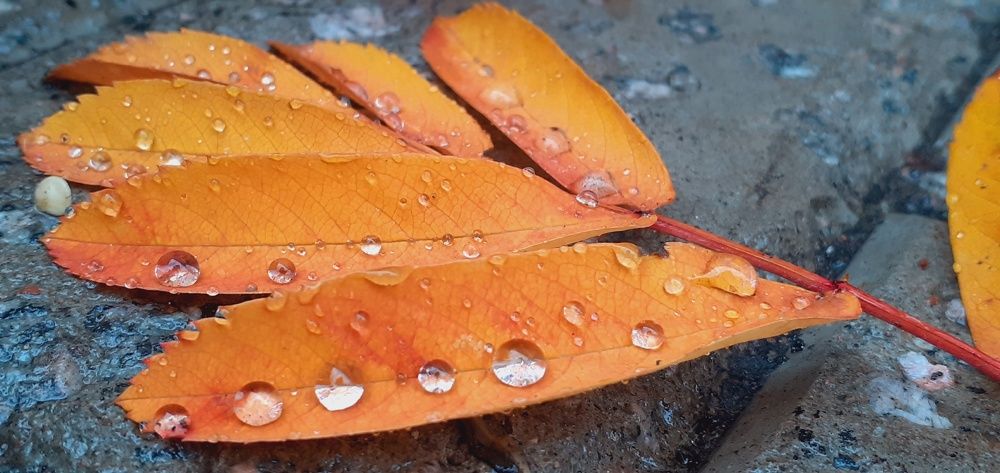 Photograph by Евгения Ульянова