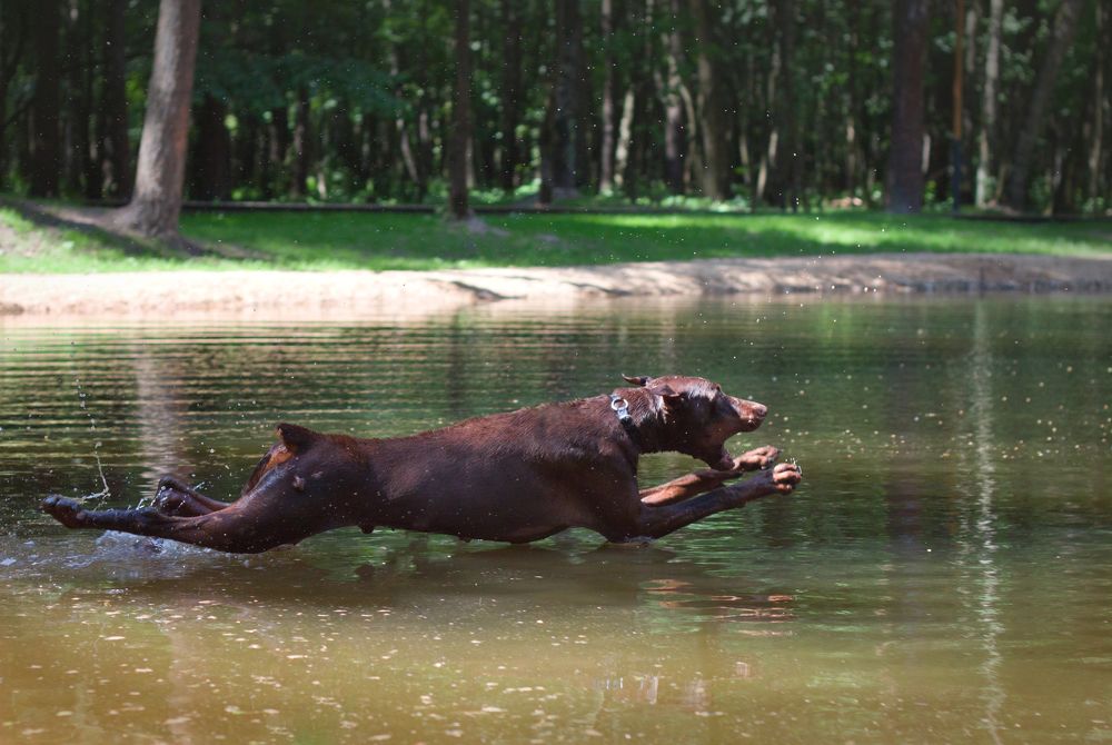 Photograph by Елена Иванова