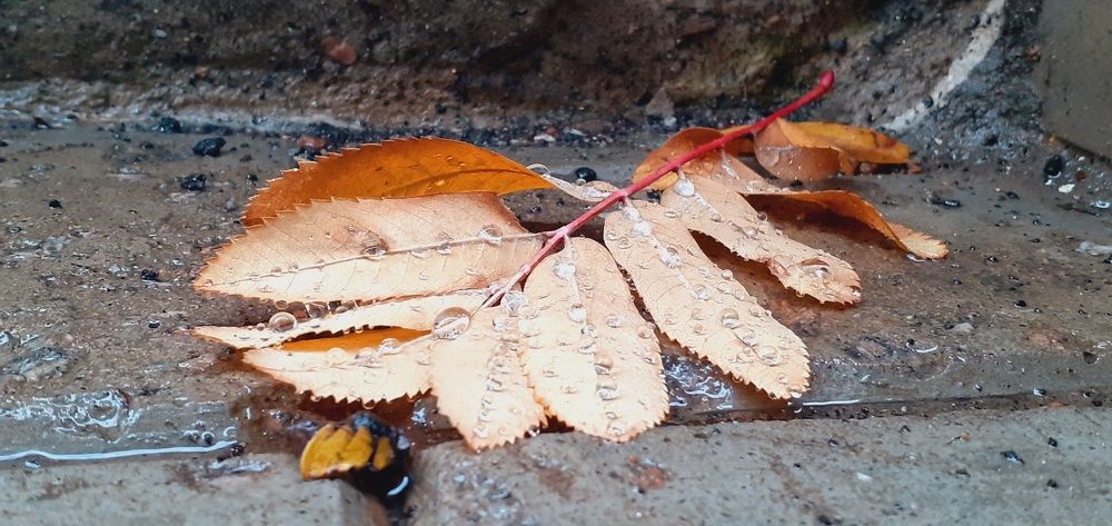 Photograph by Евгения Ульянова