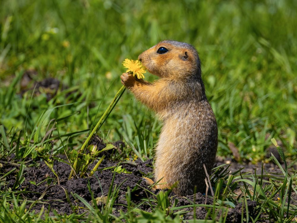 Вкусно пахнет