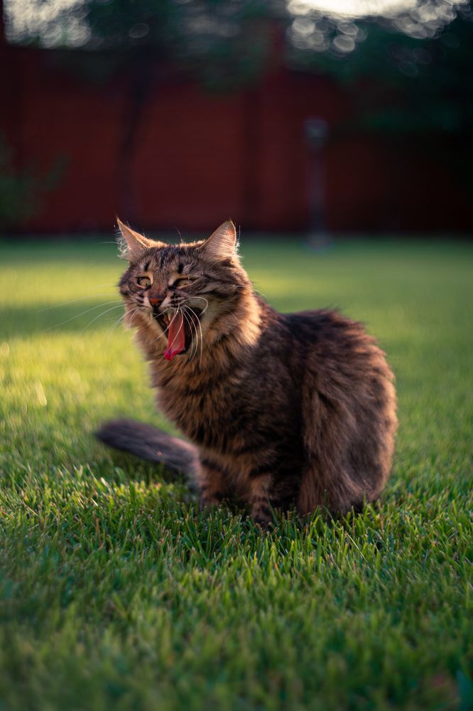 Photograph by Михаил Магазеев