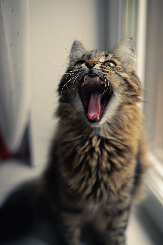 Photograph by Михаил Магазеев