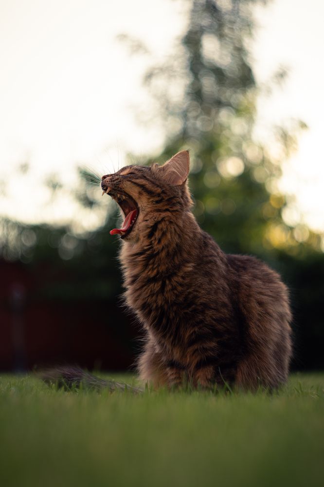 Photograph by Михаил Магазеев