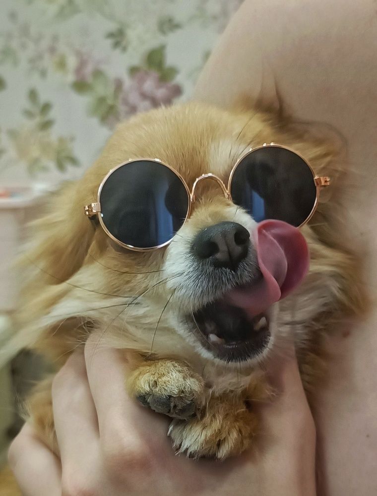 Photograph by Елена Бородина