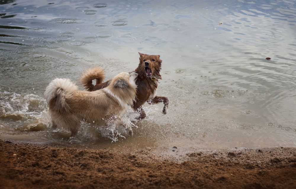 Photograph by Елена Иванова