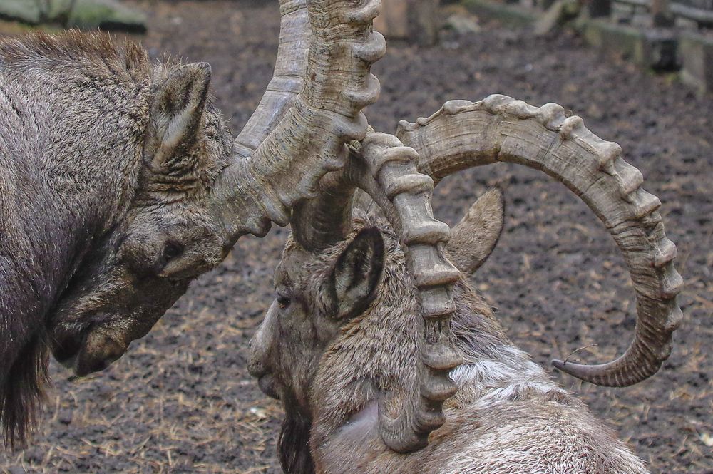 Photograph by Михаил Измайлов