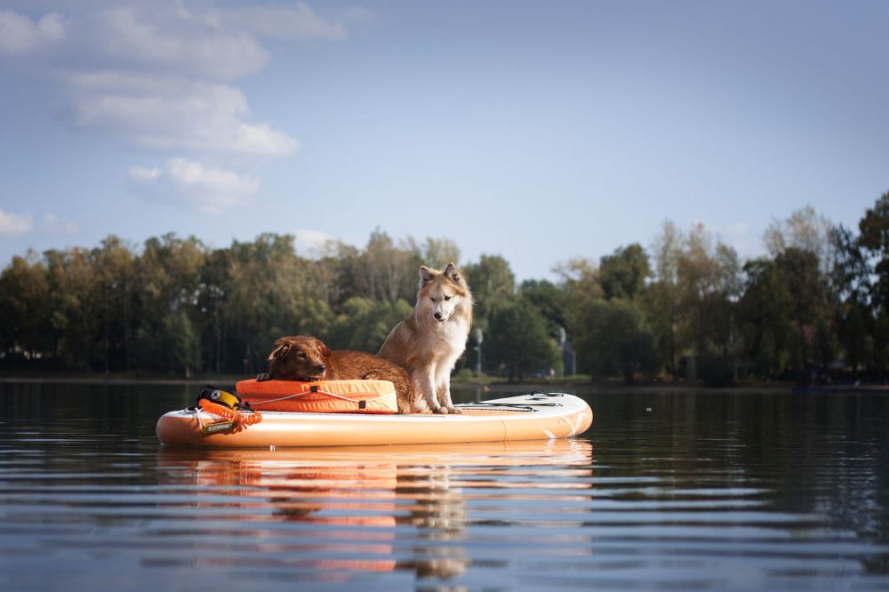 Photograph by Елена Иванова