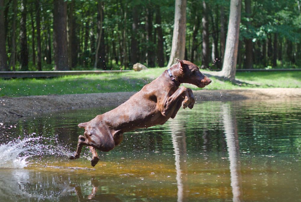 Photograph by Елена Иванова