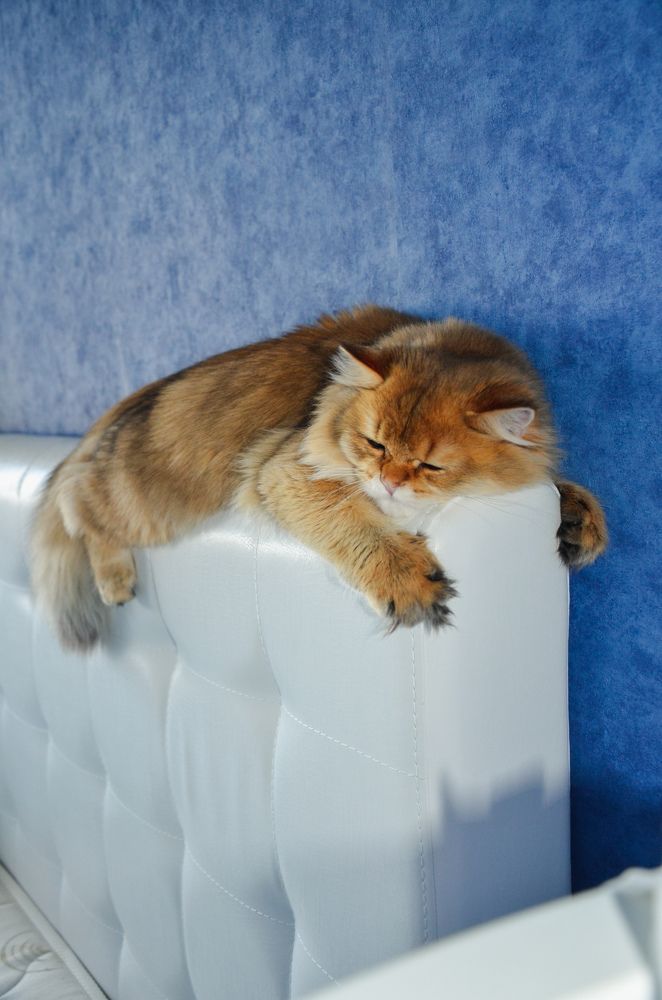 Photograph by Анастасия Сержантова