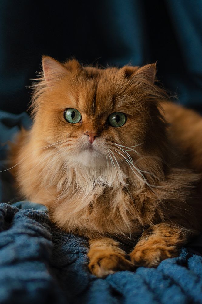 Photograph by Анастасия Сержантова