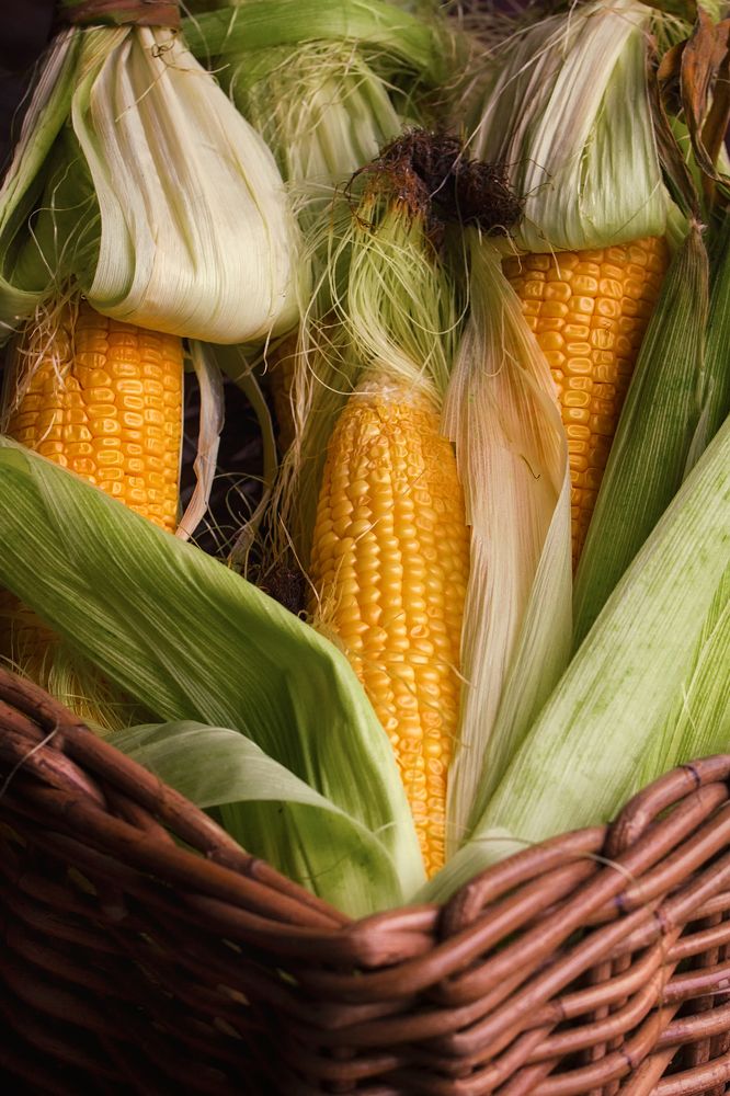 Photograph by Галина Иванова