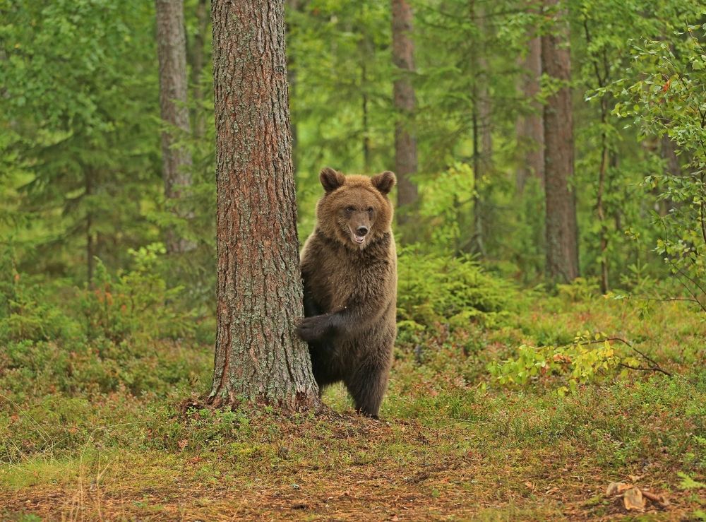 Photograph by Юрий Кетель