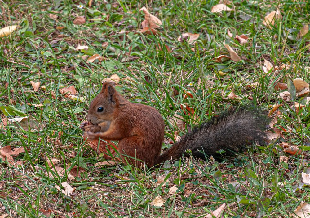 Photograph by Vladimir  Komarov