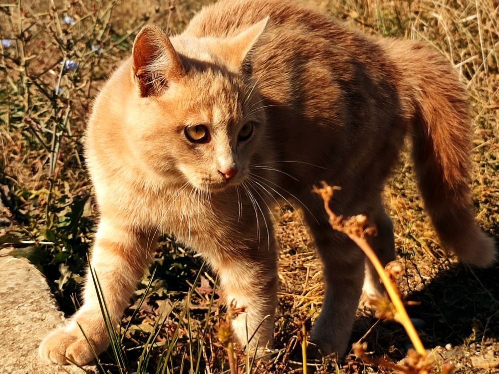 Photograph by Татьяна Долгушева