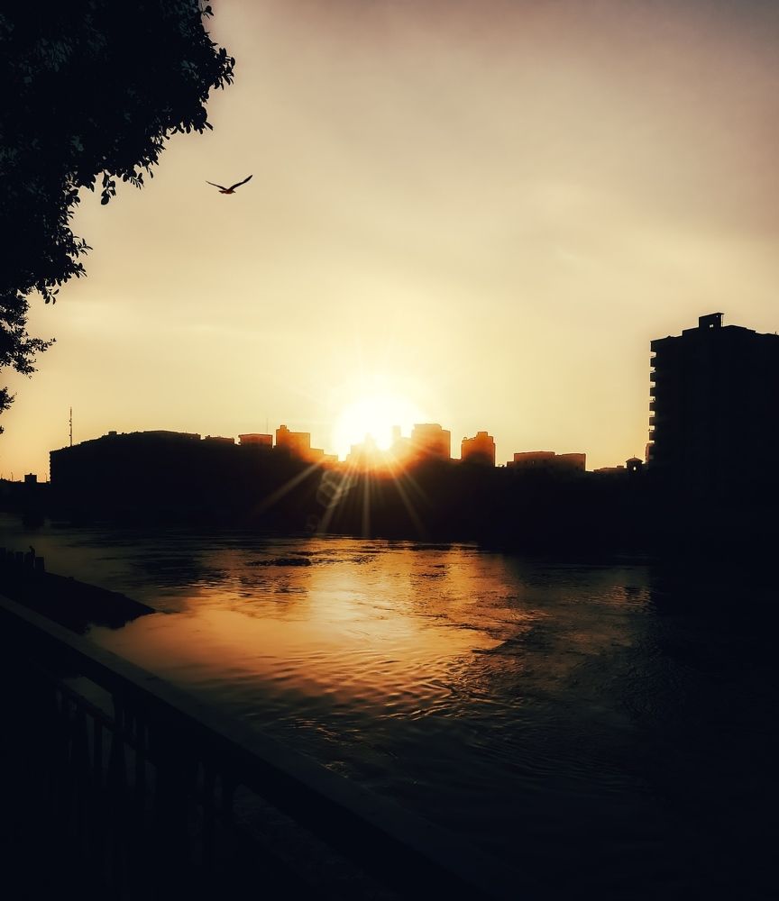 Photograph by Adel Sami