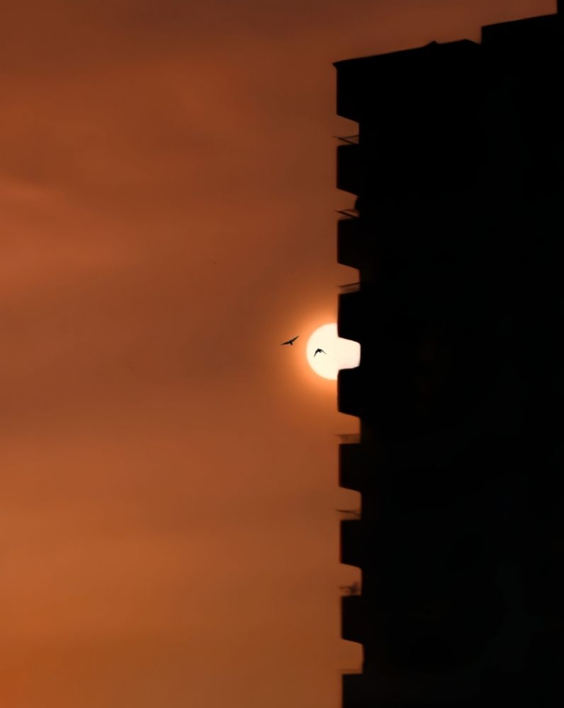 Photograph by Adel Sami