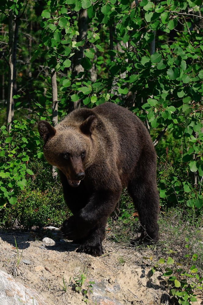 Photograph by Сергей Конюшенко