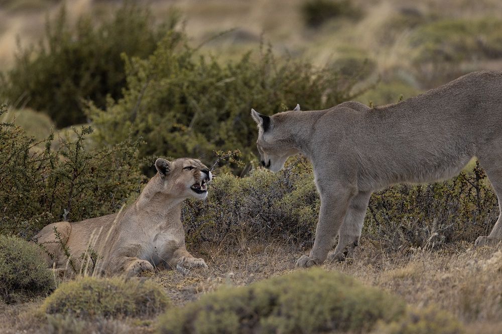 Photograph by Idit Profeta Ron