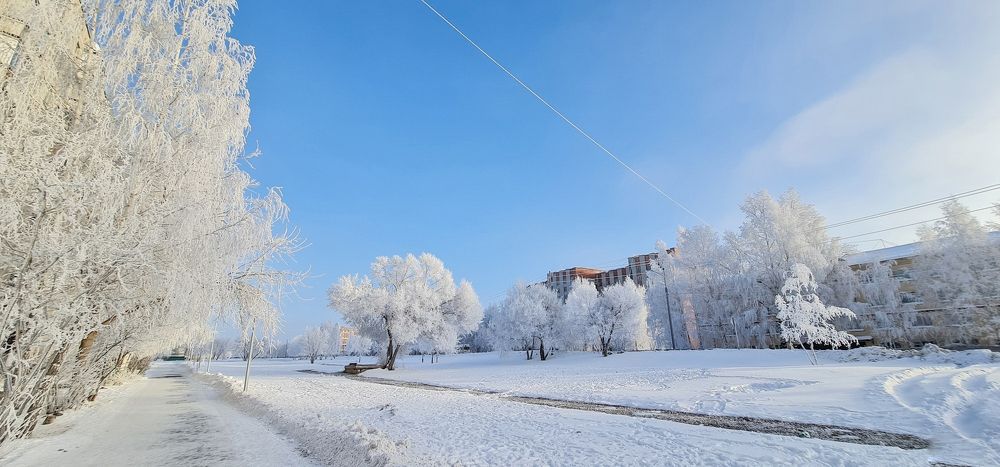 Photograph by Natasha Kim