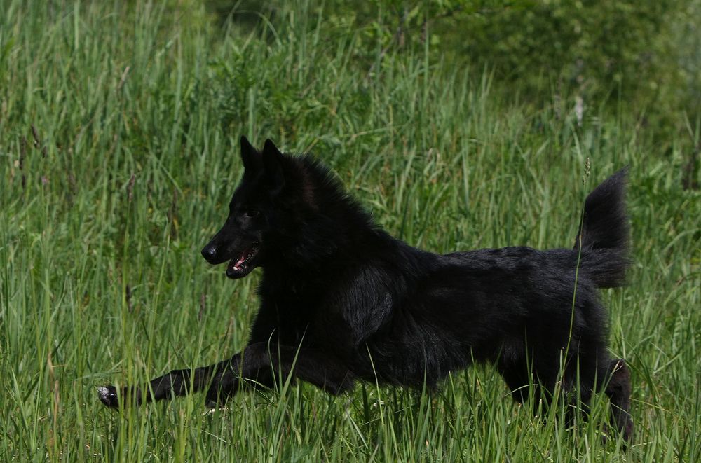 Фотография автора Надежда Лисицына