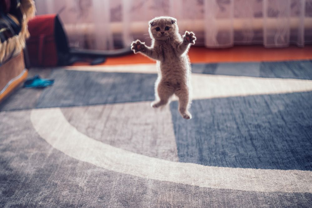 Photograph by Анна Бобкова